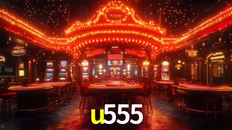 u555 App Interface