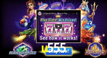 Cassino ao vivo com dealers reais na u555